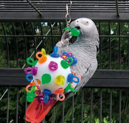 Best Toys for Timneh African Greys Best toys for Timneh African Greys indoor play with safe chewable and puzzle toys