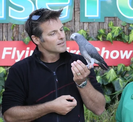 Timneh African Grey temperament shown in a calm indoor home environment