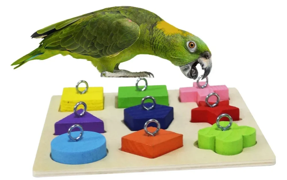 best toys for intelligent parrots Best toys for intelligent parrots for enrichment and stimulation