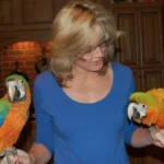 how parrots choose their preferred humans How parrots choose their preferred humans through trust