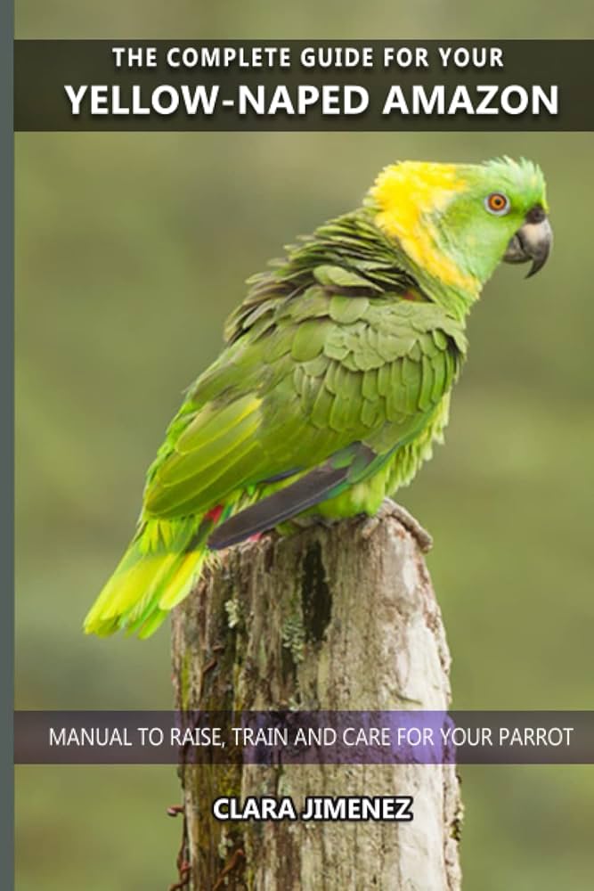 Raising a baby Yellow-Naped Amazon parrot